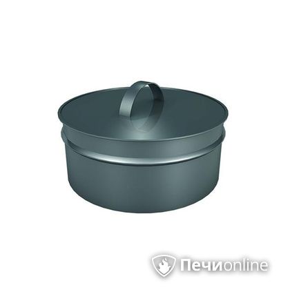 Заглушки Теплов и Сухов Заглушка ревизии Термо-Р 304 0.5 D300(200) в Тобольске