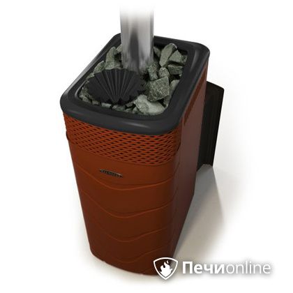 Дровяная банная печь TMF Гейзер XXL 2017 Inox Витра закрытая каменка терракота в Тобольске